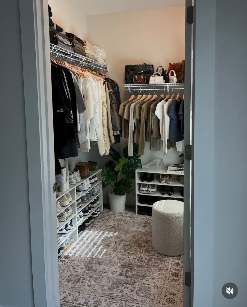 Spacious walk-in closet with wire shelving, rug, white shoe racks, a small ottoman, and a potted plant for decoration.