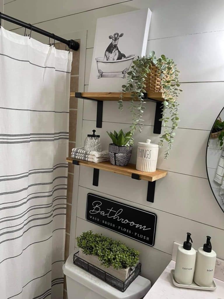 Modern farmhouse bathroom with ship lap wall and two floating shelves, decorated with a cow-in-tub canvas, trailing ivy, folded white towels, and canisters.