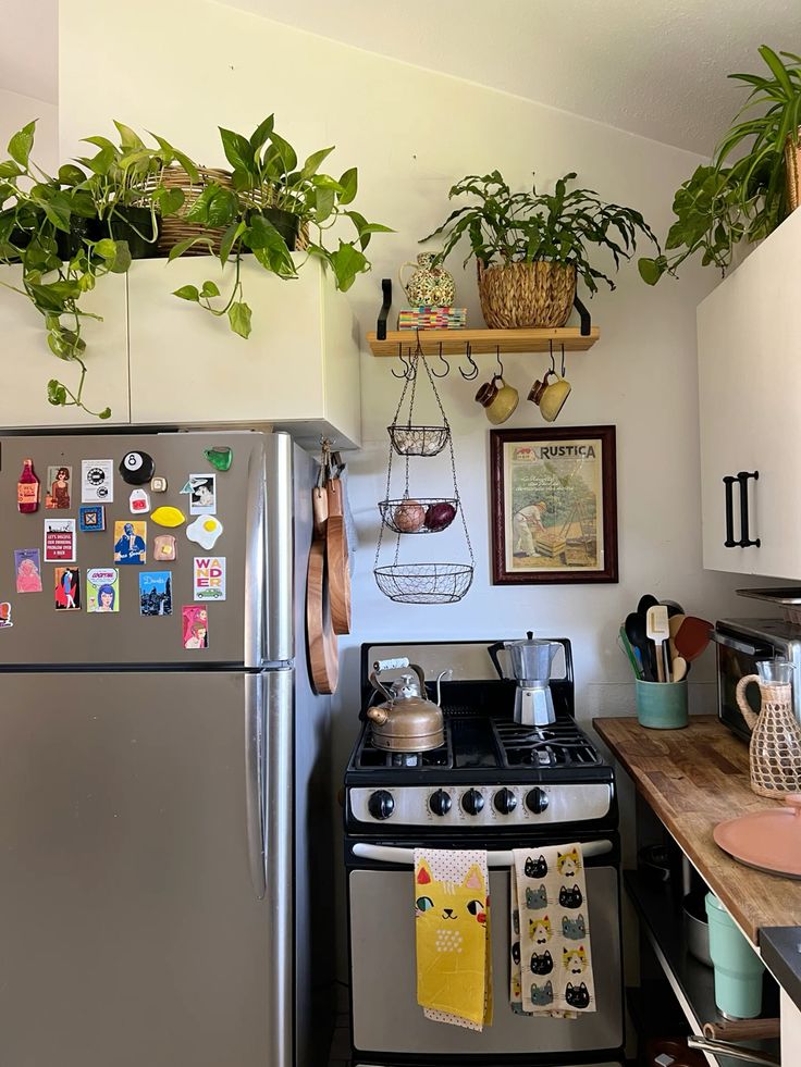 Bohemian small kitchen with a two-tier wire hanging basket for produce between the fridge and stove, with trailing plants on top of the fridge and floating shelf with hooks above