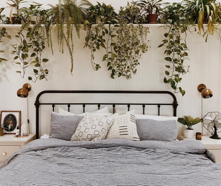 Cozy farmhouse bedroom with a wide floating shelf mounted high on the shiplap wall above a black iron bed, overflowing with trailing pothos, ferns, and hanging plants that cascade dramatically down the wall.