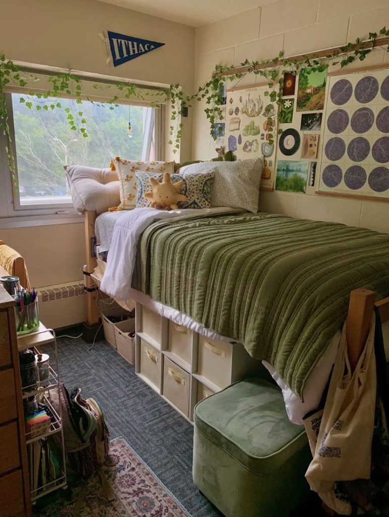 Dorm room with trailing vines around the window and a nature themed gallery wall