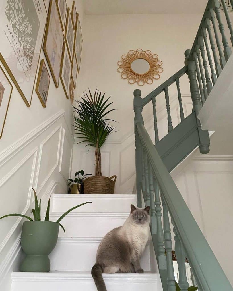 Staircase with potted plants on steps and gallery wall with sunburst mirror